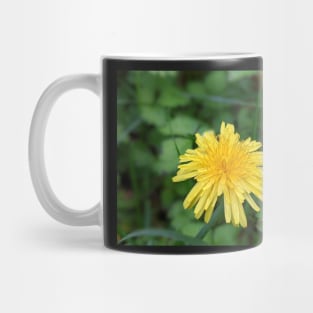 Dandelion 1 Mug